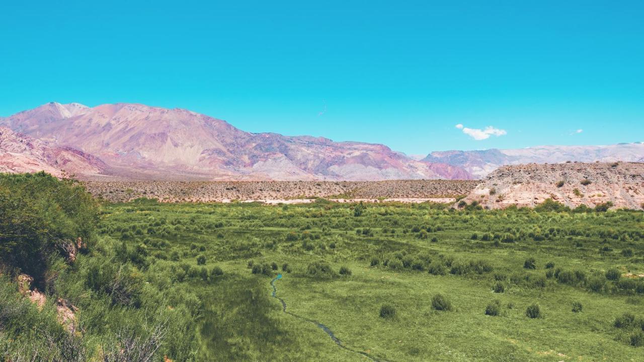 Domos أوسبالاتا المظهر الخارجي الصورة